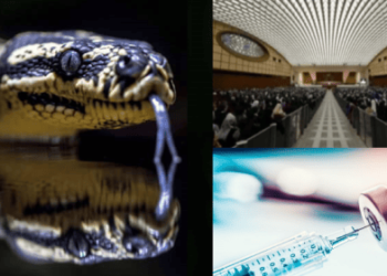Μετά τη θεραπεία με Ενέσεις κατά Covid, τα Ανθρώπινα Κύτταρα Παράγουν μια Πρωτεΐνη που μοιάζει πολύ με το Δηλητήριο των Φιδιών