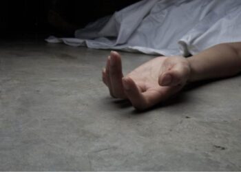 Πτώματα παντού…