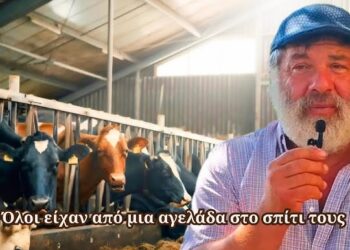 Πώς έδιωξαν όλα τα αγελάδια από τα χωριά της Ελλάδας
