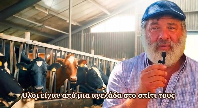 Πώς έδιωξαν όλα τα αγελάδια από τα χωριά της Ελλάδας