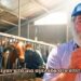 Πώς έδιωξαν όλα τα αγελάδια από τα χωριά της Ελλάδας