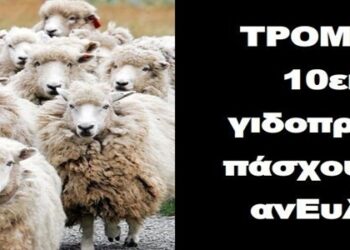 BAS_4: ΤΡΟΜΕΡΟ: 10εκατ γιδοπρόβατα πάσχουν από ανΕυλογία