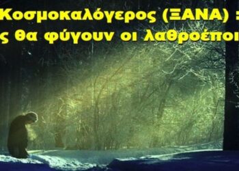 BAS_4: Κοσμοκαλόγερος ΞΑΝΑ : πως θα φύγουν οι λαθροέποικοι