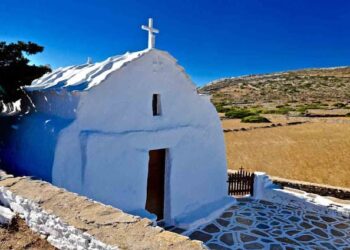 Δρ.Κ. Βαρδάκας: τώρα πλέον δεν περπατάμε, αλλά τρέχουμε σαν τον “Κεντέρη”