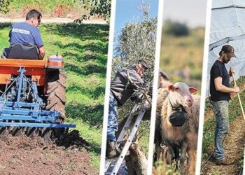 Μακρυγιάννης: Πώς επιβιώνει λαός σε κατάσταση κρίσης, όταν δεν διαθέτει επαρκή πρωτογενή παραγωγή;