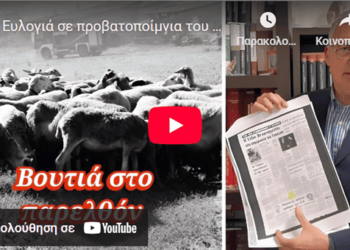 Ευλογιά σε προβατοποίμνια του 1974! | ΚΩΝΣΤΑΝΤΙΝΟΣ ΒΑΘΙΩΤΗΣ