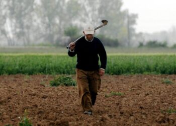 Τι τρομερό ετοιμάζουν οι Βρυξέλλες για όλους τους αγρότες με την αποδοχή γονιδιωματικών τεχνικών στην Γεωργία