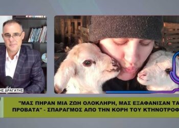 ΣΟΚΑΡΕΙ Η ΚΟΡΗ ΚΤΗΝΟΤΡΟΦΟΥ: «ΜΑΣ ΠΗΡΑΝ ΜΙΑ ΖΩΗ ΟΛΟΚΛΗΡΗ» – Η ΥΠΟΘΕΣΗ ΘΕΟΦΙΛΟΥ