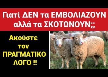 ΕΚΤΑΚΤΟ θα ΦΡΙΞΕΤΕ !! Δείτε ΓΙΑΤΙ ΔΕΝ τα ΕΜΒΟΛΙΑΖΟΥΝ αλλά τα ΣΚΟΤΩΝΟΥΝ