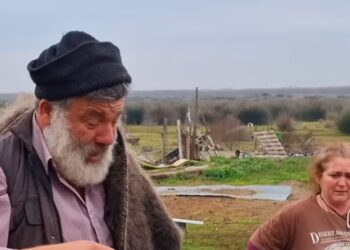 ΝΙΚΟΛΑΟΣ ΠΑΠΑΔΟΠΟΥΛΟΣ: ΈΓΚΛΗΜΑ με τον νόμο στο χέρι — ΘΑΝΑΤΩΘΗΚΑΝ ακόμη και τα αγέννητα αρνιά. ΚΑΤΑΡΑΜΕΝΟΙ ΟΛΟΙ ΣΑΣ!