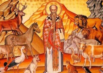 ΑΓΙΟΣ ΙΕΡΟΜΑΡΤΥΣ ΜΟΔΕΣΤΟΣ, Ο ΠΡΟΣΤΑΤΗΣ ΤΩΝ ΖΩΩΝ