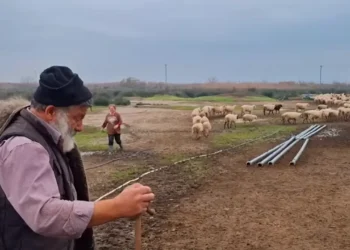 Το ελληνικό κράτος έχει ξεκάθαρα αναλάβει ρόλο εξολοθρευτή της κτηνοτροφίας. Ελευθέριος Ανδρώνης