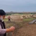 Το ελληνικό κράτος έχει ξεκάθαρα αναλάβει ρόλο εξολοθρευτή της κτηνοτροφίας. Ελευθέριος Ανδρώνης