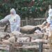 Του θανάτωσαν τα πρόβατα και αυτοκτόνησε… Έχασε ένα κοπάδι 1000 ζώων επειδή είχαν μολυνθεί από την ευλογιά