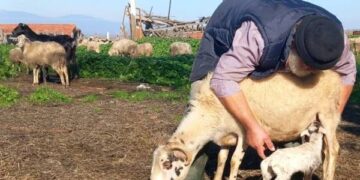 Γ. Πετράκος: Το πιο στυγερό και αποτρόπαιο φονικό εκ προμελέτης που έχει σχεδιάσει το άρρωστο μυαλό των κυβερνώντων μας.