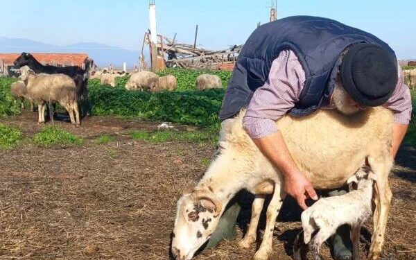 Γ. Πετράκος: Το πιο στυγερό και αποτρόπαιο φονικό εκ προμελέτης που έχει σχεδιάσει το άρρωστο μυαλό των κυβερνώντων μας.