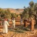 Η Τυνησία απειλεί το ελληνικό ελαιόλαδο – Η ΕΕ θυσιάζει τους Έλληνες παραγωγούς