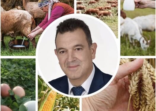 Νικόλαος Παπαδόπουλος: Σβήνουν την ελληνική αγροτιά… Η συμφωνία ΕΕ–Mercosur