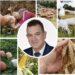 Νικόλαος Παπαδόπουλος: Σβήνουν την ελληνική αγροτιά… Η συμφωνία ΕΕ–Mercosur