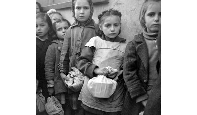 Πριν από κάθε παγκόσμιο πόλεμο θανατώνουν τα ζώα; 2026 όπως 1939;