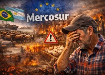 Μαύρη Παρασκευή για τους Έλληνες αγρότες – Η έγκριση της Mercosur φέρνει «κρέας με χλώριο» και απαγορευμένα φυτοφάρμακα
