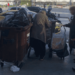 ΕΘΝΙΚΟΙ ΦΥΛΑΚΕΣ: Ὅταν τὰ φῶτα σβήνουν, μένει ὁ ἄνθρωπος