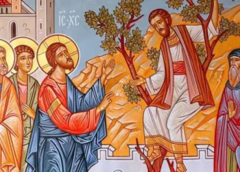 ΕΝΑΣ ΜΕΓΑΛΟΣ ΑΜΑΡΤΩΛΟΣ ΣΩΖΕΤΑΙ (ΚΥΡΙΑΚΗ ΙΕ΄ ΛΟΥΚΑ ).