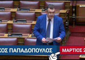 ΝΙΚΟΛΑΟΣ ΠΑΠΑΔΟΠΟΥΛΟΣ: Τον Μάρτιο του 2024, από το βήμα της Βουλή των Ελλήνων, κατέθεσα επίκαιρη ερώτηση και μίλησα για ΑΕΡΟΠΟΡΙΚΑ ΤΕΜΠΗ
