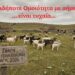 1937-39 ΣΦΑΓΗ 1940-45 ΠΕΙΝΑ ΠΟΛΕΜΟΣ 2025 ΣΦΑΓΗ 2026; Οποιαδήποτε Ομοιότητα είναι τυχαία