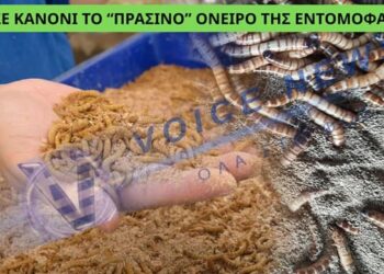 ΤΟ 2026 ΞΕΚΙΝΑ ΑΙΣΙΟΔΟΞΑ: ΧΡΕΟΚΟΠΗΣΕ Η ΜΕΓΑΛΥΤΕΡΗ ΦΑΡΜΑ ΕΝΤΟΜΩΝ ΣΤΗΝ ΕΥΡΩΠΗ ΠΟΥ ΠΡΟΟΡΙΖΑΝ ΓΙΑ ΤΑ ΠΙΑΤΑ ΜΑΣ!