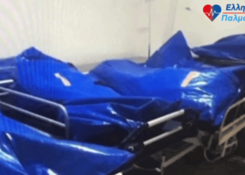 ΝΙΚΟΛΑΟΣ ΠΑΠΑΔΟΠΟΥΛΟΣ: ΔΕΥΤΕΡΗ ΚΗΔΕΙΑ ΓΙΑ 150 ΕΛΛΗΝΕΣ – ΠΟΙΟΣ ΘΑ ΛΟΓΟΔΟΤΗΣΕΙ;