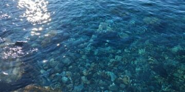 ΤΖΙΒ ΑΕΡΙ μου αέρι… Διονύσιος Ταμπάκης