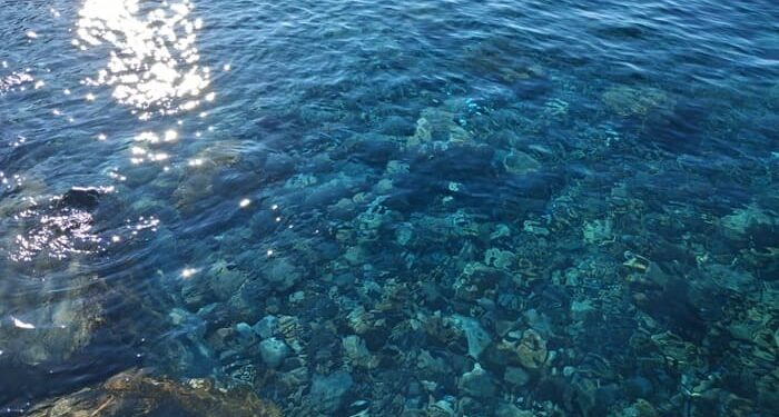 ΤΖΙΒ ΑΕΡΙ μου αέρι… Διονύσιος Ταμπάκης