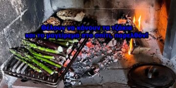 Χρήστος Μαντζιάρης: Θ’ απαγορεύσουν τζάκια και μαγείρεμα επειδή μολύνουν τον αέρα μέσα κι έξω από το σπίτι. Οι παραβάτες θα ελέγχονται με αισθητήρες!