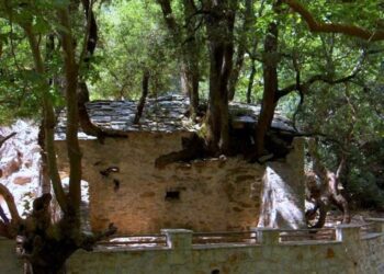Η εκκλησία με τα δέντρα στη στέγη: Το πιο σπάνιο Θρησκευτικό Θαύμα (βίντεο)
