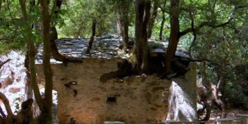Η εκκλησία με τα δέντρα στη στέγη: Το πιο σπάνιο Θρησκευτικό Θαύμα (βίντεο)
