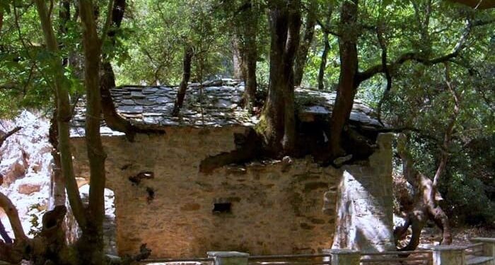 Η εκκλησία με τα δέντρα στη στέγη: Το πιο σπάνιο Θρησκευτικό Θαύμα (βίντεο)