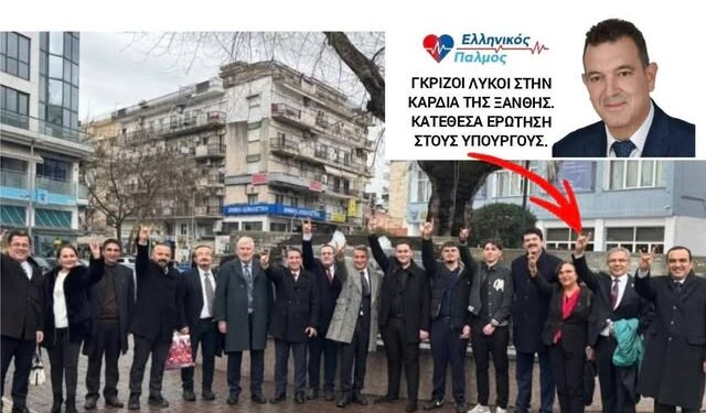 ΝΙΚΟΛΑΟΣ ΠΑΠΑΔΟΠΟΥΛΟΣ: ΓΚΡΙΖΟΙ ΛΥΚΟΙ στην καρδιά της Ξάνθης. Πρόκληση μπροστά στη λέσχη Αξιωματικών!