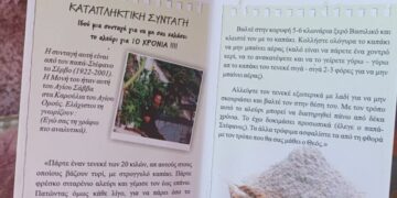 ΚΑΤΑΠΛΗΚΤΙΚΗ ΣΥΝΤΑΓΗ… “ΠΩΣ ΔΕΝ ΧΑΛΑΕΙ ΤΟ ΑΛΕΥΡΙ γιά 10 ΧΡΟΝΙΑ”