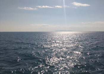 Δρ. Κ. Βαρδάκας: ΜΗΝΥΜΑ από Ασκητή “τι έγινε, τι γίνεται, τι συμβαίνει”