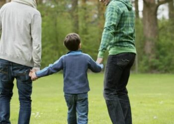 Το ΣτΕ Έκρινε Συνταγματικό τον Γάμο και την Υιοθεσία από Ομόφυλα Ζευγάρια — Η Ελλάδα Αλλάζει Σελίδα: Θρίαμβος Δικαιωμάτων ή Θανάσιμο Χτύπημα στην Παραδοσιακή Οικογένεια;