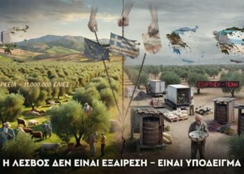 «11.000.000 ελιές, 3.000 κτηνοτρόφοι, 62 ελαιοτριβεία – Και η Λέσβος πεινά: Το σύστημα δεν απέτυχε, λειτούργησε ακριβώς όπως σχεδιάστηκε»