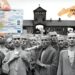Δημήτριος Νικ. Δασκαλάκης: Είναι ο προσωπικός αριθμός «τεχνικό» θέμα της κρατικής γραφειοκρατίας;