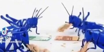 Κίνημα 21: Από σκάΝΔαλο σε σκάΝΔαλο το μόρφωμα της Νέας Δικογραφίας…