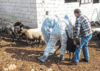 Νικόλαος Παπαδόπουλος: Με πρόσχημα τον αφθώδη πυρετό ΘΥΣΙΑΖΟΥΝ ΤΗ ΛΕΣΒΟ!