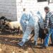 Νικόλαος Παπαδόπουλος: Με πρόσχημα τον αφθώδη πυρετό ΘΥΣΙΑΖΟΥΝ ΤΗ ΛΕΣΒΟ!