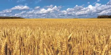 Παγκόσμιο Χάος μπορεί να δημιουργηθεί από τη μια μέρα στην άλλη…