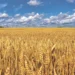 Παγκόσμιο Χάος μπορεί να δημιουργηθεί από τη μια μέρα στην άλλη…