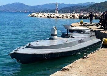 Δρ. Κ. Βαρδάκας: νιάου – νιάου το θαλάσσιο drone από τον Αυλώνα;