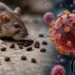 🐀 Ο Andes virus ΚΑΙ ΤΟ ΓΝΩΡΙΜΟ ΕΡΓΟ ΤΗΣ ΠΡΟΠΑΓΑΝΔΑΣ ΤΟΥ ΤΡΟΜΟΥ ☢️